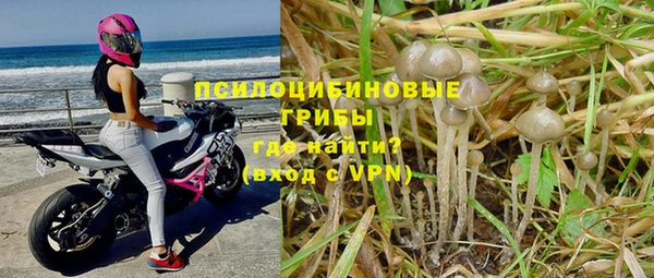 молекула духа Белокуриха