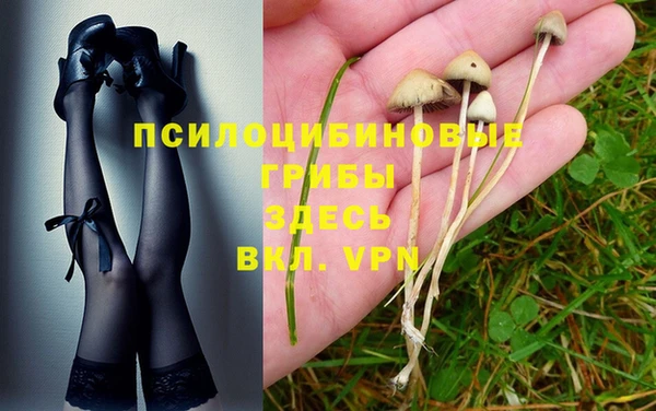 jwh Беломорск