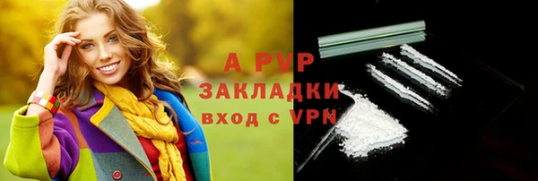 ПСИЛОЦИБИНОВЫЕ ГРИБЫ Белоозёрский