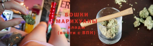 ПСИЛОЦИБИНОВЫЕ ГРИБЫ Белоозёрский