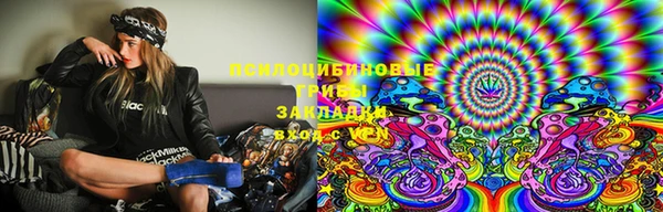 ПСИЛОЦИБИНОВЫЕ ГРИБЫ Белоозёрский