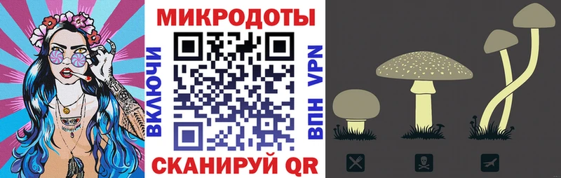 Псилоцибиновые грибы Cubensis  Купить где  Моршанск 