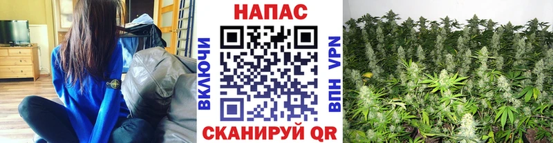 Купить закладки Моршанск Конопля конопля